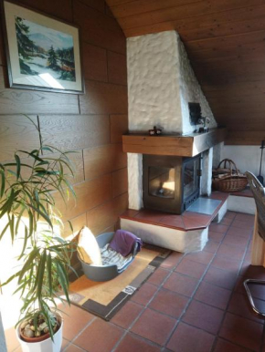 Aussergewöhnliche Atelierferienwohnung mit Balkon an der Donau